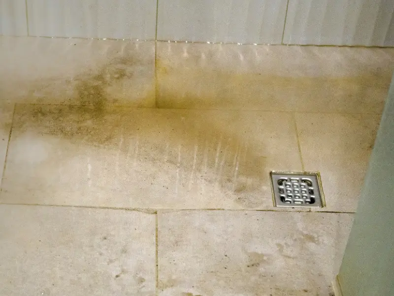 Bathroom floor tiles with a dark mold stain near a metal drain.