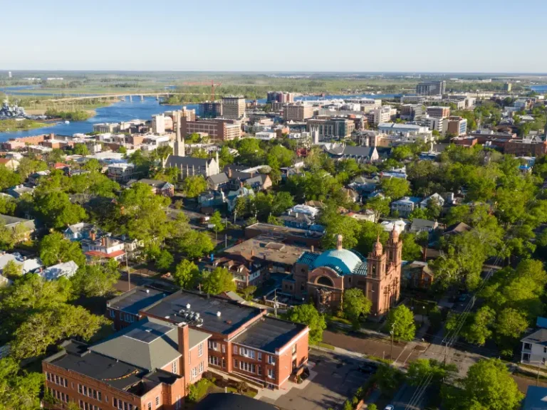 Aerial view of a cityscape with a river, bridges, and a mix of buildings surrounded by trees.