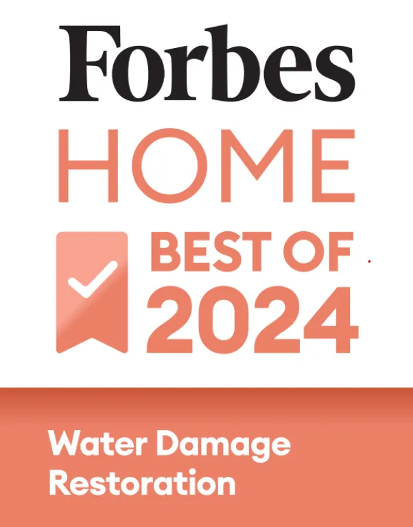 Forbes Home Best of 2024