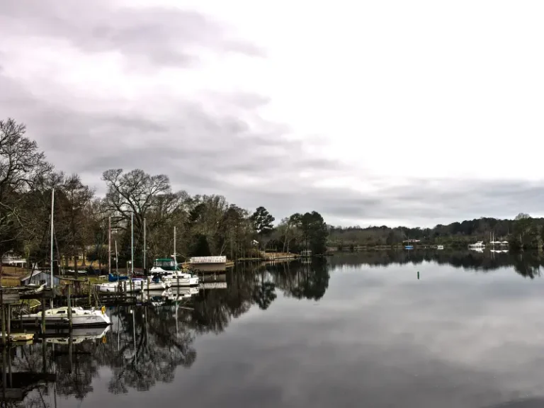 Sailboats docked along a calm river with trees and cloudy sky reflected in the water.