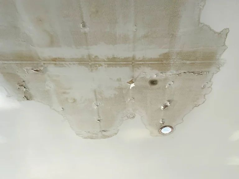 Ceiling with extensive water damage, peeling paint, and a recessed light fixture.