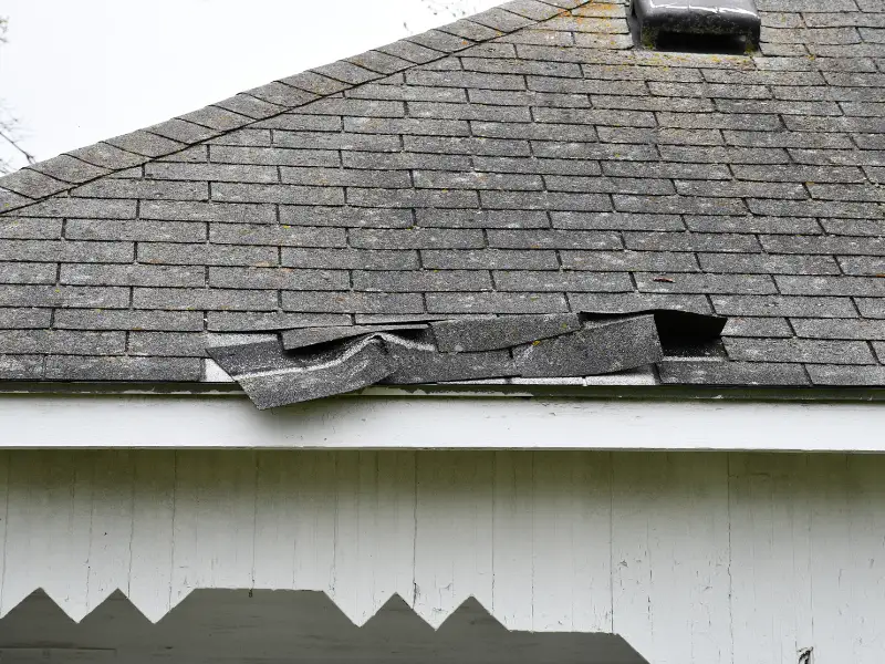 Damaged roof shingles lifted and bent on a gray shingled roof.